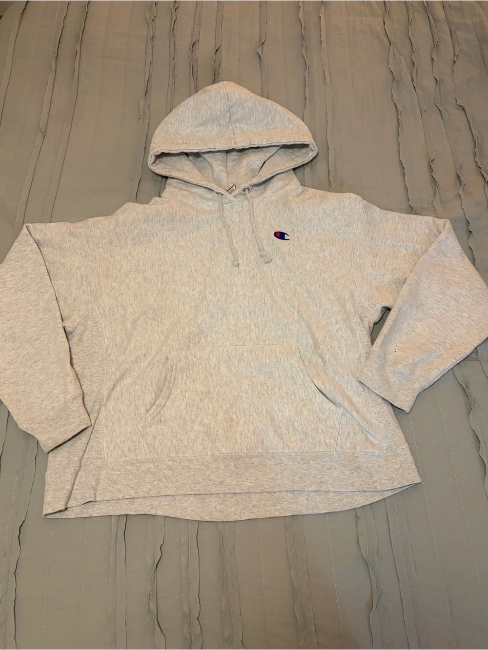 Champion Reverse Weave Hooded Sweatshirt | Size XL